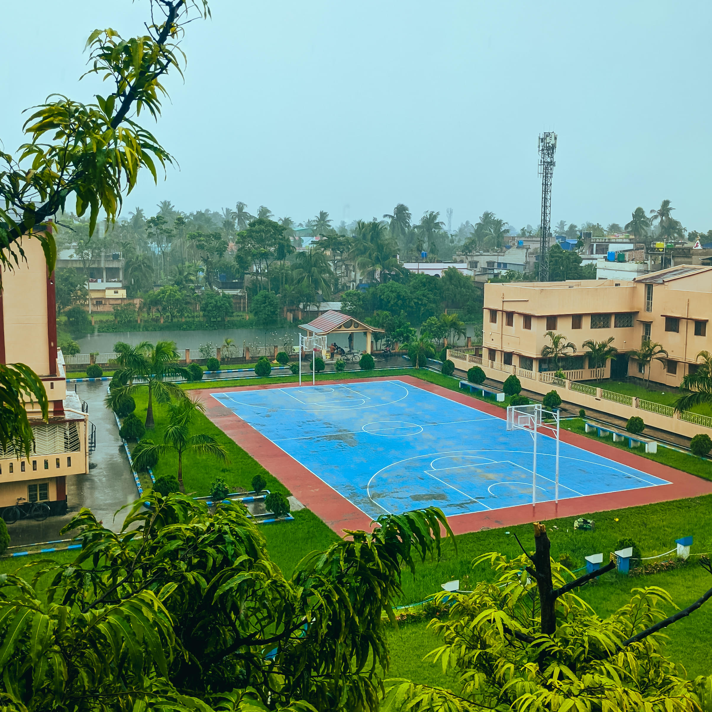 Acharya Prafulla Chandra College Kolkata Campus photo 3